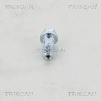 Autodílna Dutý šroub TRISCAN 8105 3252