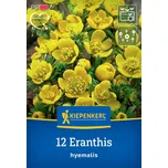 Kiepenkerl Talovín zimní 12 ks