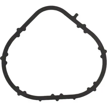 Těsnění motoru Těsnění, koleno sacího potrubí KAMOKA 8704256