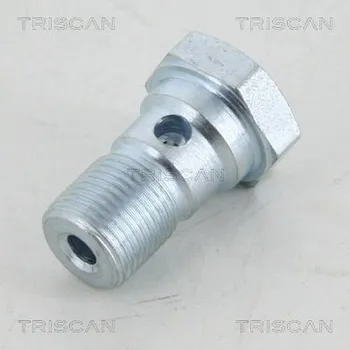 Nářadí pro automobil Dutý šroub TRISCAN 8105 3255