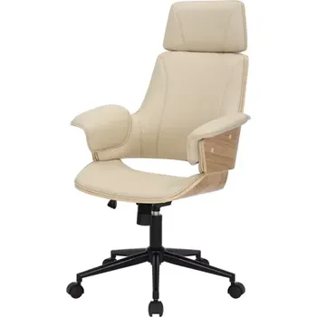 Kancelářské křeslo DARAN Dekorhome