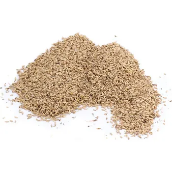 Krmivo pro ptáka OVES NAHÝ - pro ptactvo 10 kg