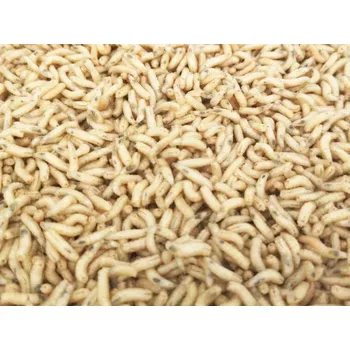 Krmivo pro rybičky ŽIVÁ NÁSTRAHA ČERV BÍLÝ 0,5L