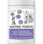 Dromy Artro Forte 900 g