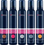 Indola Professional Color Style Mousse barevné tužidlo 200 ml Odstín barvy: Dark Ash