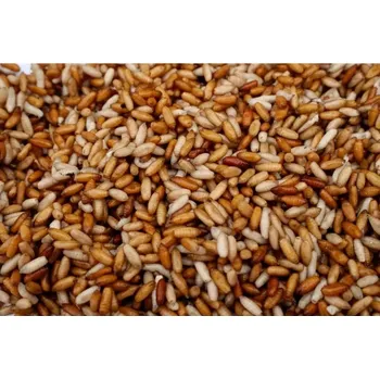 Akvaristika CASTERS CHYTACÍ KUKLA 0,5L