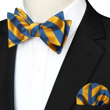 Kravata Set pánského motýlku s kapesníčkem – slavnostní doplněk Barva (Varianta): 7