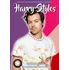 Kalendář Calldreams Nástěnný kalendář Harry Styles 2026