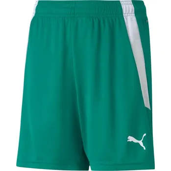 Chlapecké oblečení Puma teamLIGA Shorts Jr 704931 05 152cm