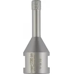 BOSCH Dry Speed 2608599040