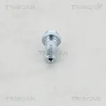 Dutý šroub TRISCAN 8105 3252