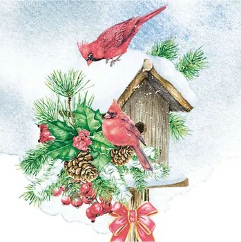 Papírový ubrousek Ubrousky vánoční 33x33cm, 20ks, Ptačí budka s ptáčky