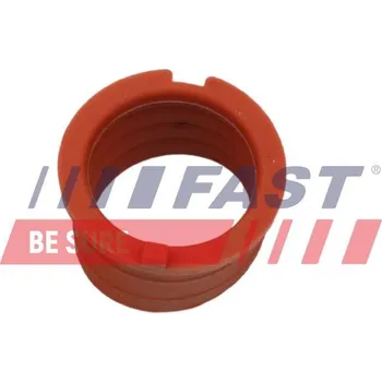 Těsnění motoru Těsnění, dmychadlo FAST FT48814