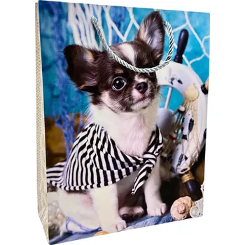 Dárková taška Dárková taška 25×35 cm A5662.01