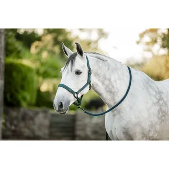 AMIGO Ohlávka s vodítkem Horseware, dynasty green FULL