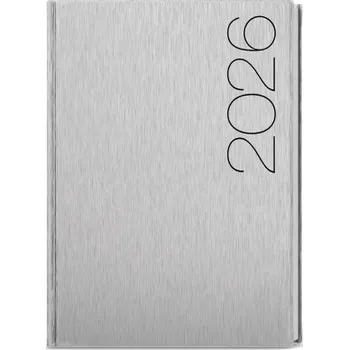 Diář ForMen denní stříbrný diář A5 David