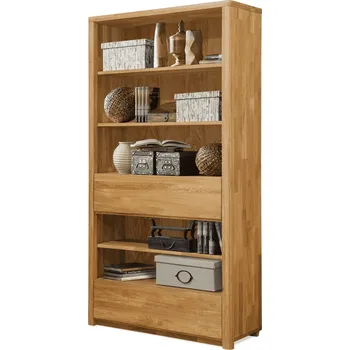 Knihovna Masivní dubová knihovna Lausanne