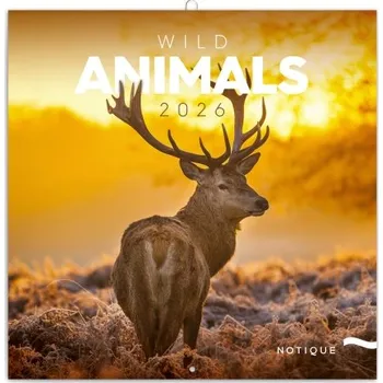 Kalendář Divoká zvířata poznámkový mezinárodní nástěnný kalendář