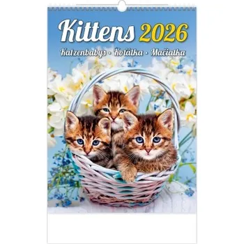Kalendář Koťátka nástěnný kalendář