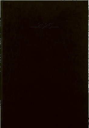 Titan denní černý diář A4