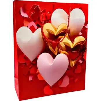 Dárková taška Dárková taška 25×35 cm A5626.01