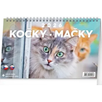 Kalendář Kočky a koťata stolní kalendář