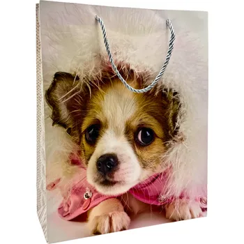 Dárková taška Dárková taška 25×35 cm A5662.04