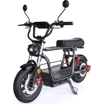 Motorová koloběžka Elektrický terénní vůz ISCOOTER DX5 1500W