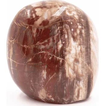 Přírodní kámen Milujeme Kameny Zkamenělé dřevo - broušený kámen ZD37 543002