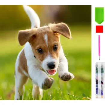 Výtvárné potřeby Real Home Diamantové Vyšívání - Šťastný Pejsek 5D 10