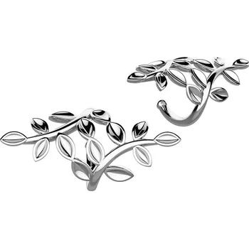 Náušnice Aubin - stříbrné záušnice