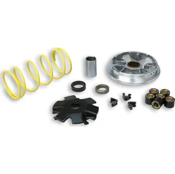 MALOSSI Multivar Variátor - 5111151