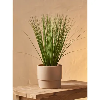 umělá květina Sinsay - Dekorativní umělá rostlina - zelená - 9404Z-77X - 9404Z-77X-ONE-5