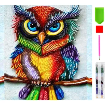 Real Home Diamantové vyšívání - vzor barevné sovy 5D 28