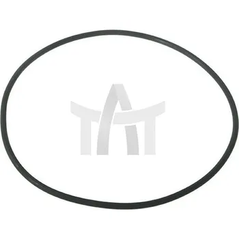 Těsnicí kroužek 113X3 EURORICAMBI 95531924