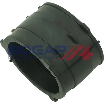 Turbodmychadlo Hadice plnícího vzduchu BOGAP A1711396