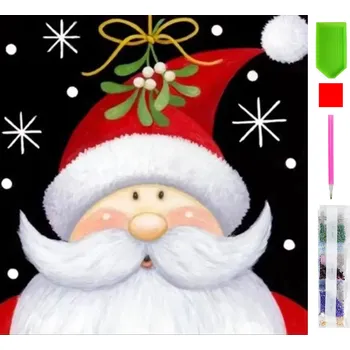 Real Home Diamantové vyšívání - vzor Mikuláše 5D 62