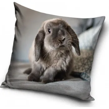 Dekorativní polštářek Carbotex Dekorační polštářek Zakrslý králíček 40x40 cm