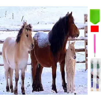 Real Home Diamantové vyšívání - vzor koně 5D 136