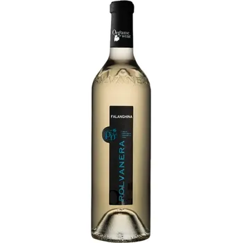 Víno POLVANERA Falanghina Puglia IGT Organic 2022 12 % 0,75 l (holá láhev)