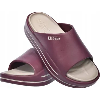 Dámská obuv Big Star Dámské Nazouváky BIG STAR SHOES 2025, velikost 39