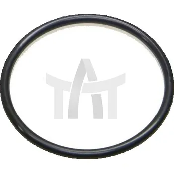 Těsnicí kroužek Intardera ZF 63X3 EURORICAMBI 95532571