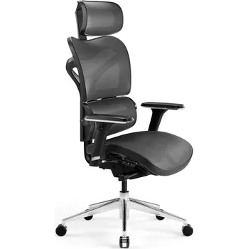 Kancelářská ergonomická židle Diablo V-Commander: černo-šedá