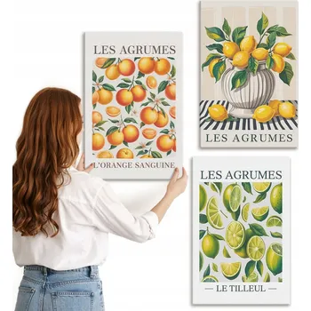 Obraz Sada obrazů na plátně Citrusy v barevných provedeních 3x 40x60 cm