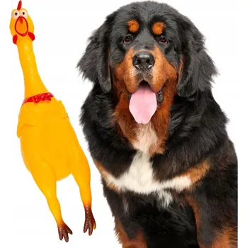 Hračka pro psa Pískací Hračka pro psy Wesoły Pupil Kurczak GIGANT piszczący