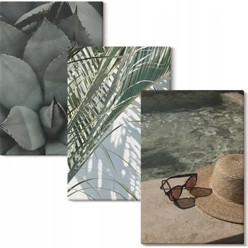 Obraz Vícedílný Obraz Na Plátně Set Tropické rostliny dovolená 3x 40x60 cm