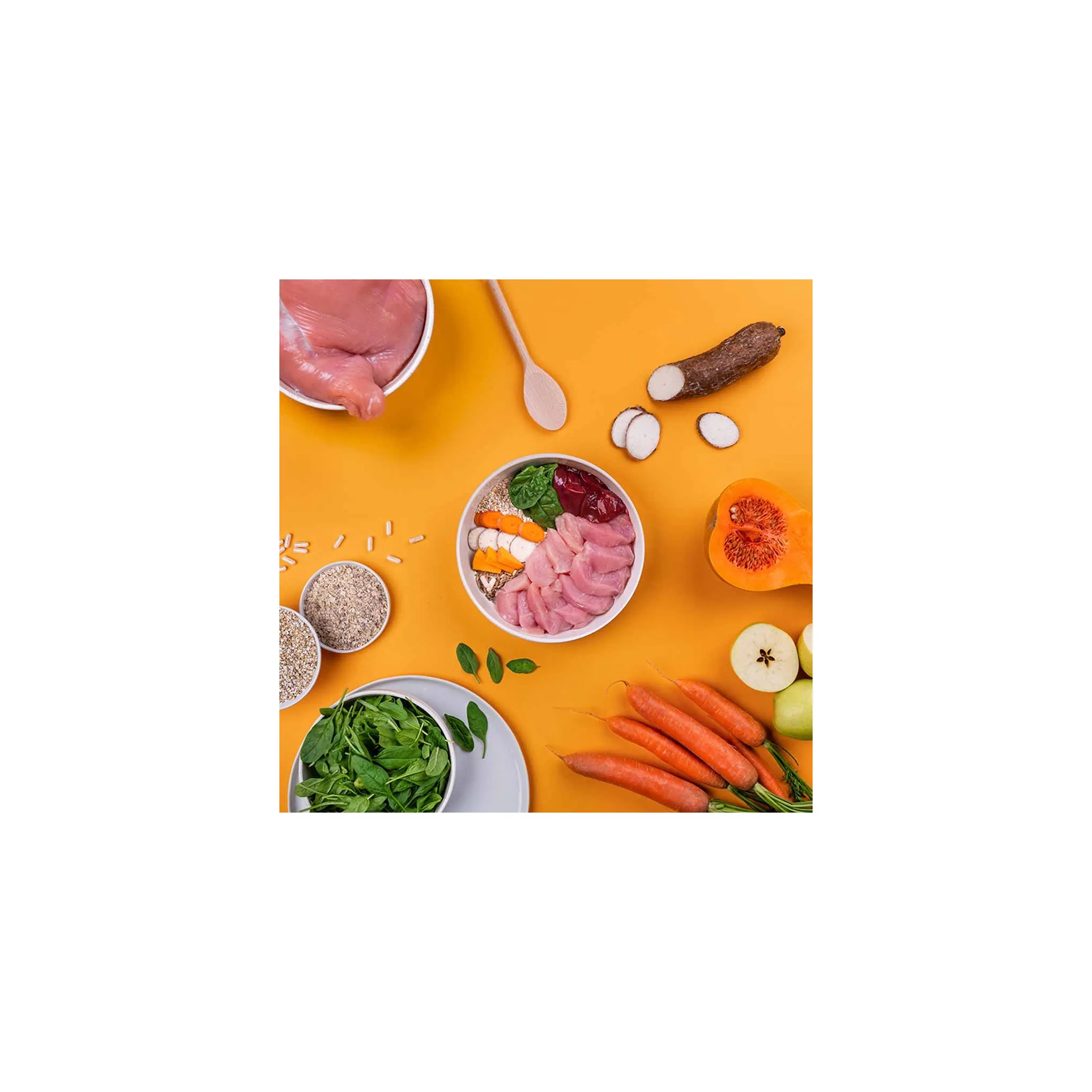Fotografie 4 - Krmivo pro psa Rufruf Smart & Tasty krůtí s pohankou a probiotiky 6 kg