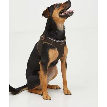 Postroj pro psa Postroj pro psa Barbour DAC0064 zelená 87X, vel. S