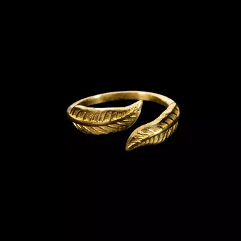 Prsten Mosazný prsten Two Feathers 1, Sittar