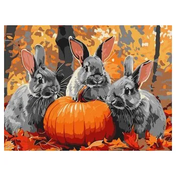 Set školních potřeb Malowanie po numerach - Przygody z królikiem 30x40